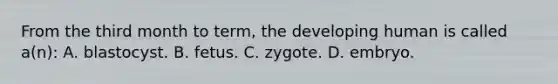 From the third month to term, the developing human is called a(n): A. blastocyst. B. fetus. C. zygote. D. embryo.