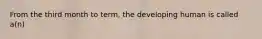 From the third month to term, the developing human is called a(n)