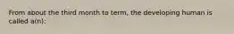 From about the third month to term, the developing human is called a(n):