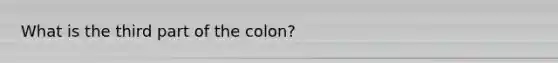 What is the third part of the colon?