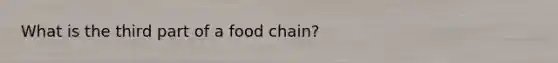 What is the third part of a food chain?