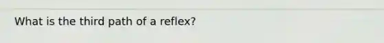 What is the third path of a reflex?