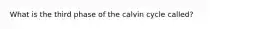 What is the third phase of the calvin cycle called?