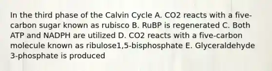 In the third phase of the Calvin Cycle A. CO2 reacts with a five-carbon sugar known as rubisco B. RuBP is regenerated C. Both ATP and NADPH are utilized D. CO2 reacts with a five-carbon molecule known as ribulose1,5-bisphosphate E. Glyceraldehyde 3-phosphate is produced