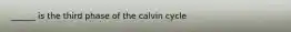 ______ is the third phase of the calvin cycle