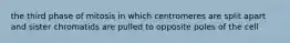 the third phase of mitosis in which centromeres are split apart and sister chromatids are pulled to opposite poles of the cell