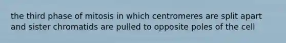the third phase of mitosis in which centromeres are split apart and sister chromatids are pulled to opposite poles of the cell
