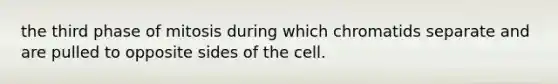 the third phase of mitosis during which chromatids separate and are pulled to opposite sides of the cell.