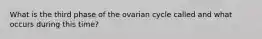 What is the third phase of the ovarian cycle called and what occurs during this time?