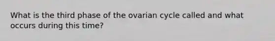 What is the third phase of the ovarian cycle called and what occurs during this time?