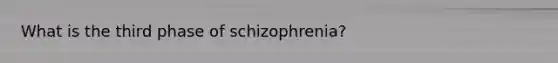 What is the third phase of schizophrenia?