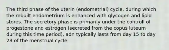 The third phase of the uterin (endometrial) cycle, during which the rebuilt endometrium is enhanced with glycogen and lipid stores. The secretory phase is primarily under the controll of progestone and estrogen (secreted from the copus luteum during this time period), adn typically lasts from day 15 to day 28 of the menstrual cycle.