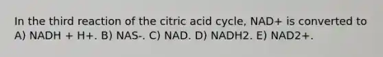 In the third reaction of the citric acid cycle, NAD+ is converted to A) NADH + H+. B) NAS-. C) NAD. D) NADH2. E) NAD2+.