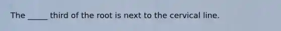 The _____ third of the root is next to the cervical line.