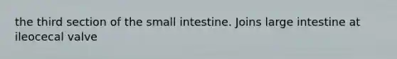 the third section of the small intestine. Joins large intestine at ileocecal valve