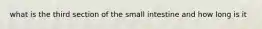 what is the third section of the small intestine and how long is it