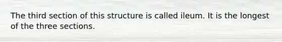 The third section of this structure is called ileum. It is the longest of the three sections.