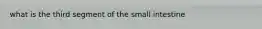 what is the third segment of the small intestine