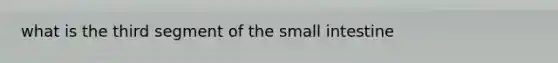 what is the third segment of the small intestine