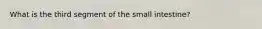 What is the third segment of the small intestine?