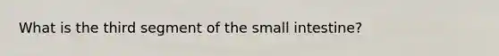 What is the third segment of the small intestine?