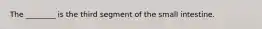 The ________ is the third segment of the small intestine.