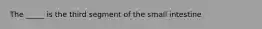 The _____ is the third segment of the small intestine