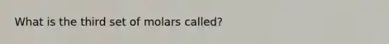 What is the third set of molars called?