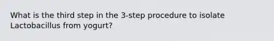 What is the third step in the 3-step procedure to isolate Lactobacillus from yogurt?