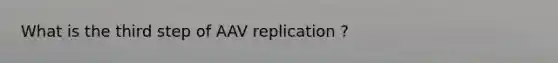 What is the third step of AAV replication ?