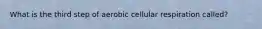 What is the third step of aerobic cellular respiration called?