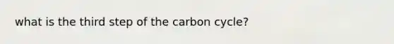 what is the third step of the carbon cycle?