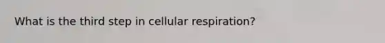 What is the third step in <a href='https://www.questionai.com/knowledge/k1IqNYBAJw-cellular-respiration' class='anchor-knowledge'>cellular respiration</a>?