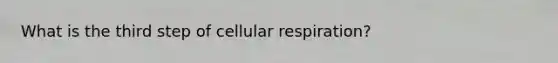 What is the third step of cellular respiration?