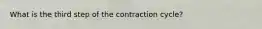 What is the third step of the contraction cycle?