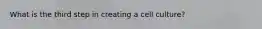 What is the third step in creating a cell culture?