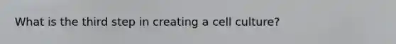 What is the third step in creating a cell culture?