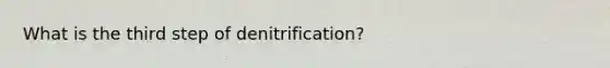 What is the third step of denitrification?