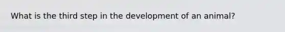 What is the third step in the development of an animal?