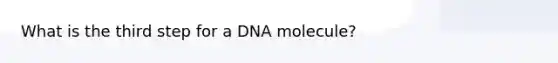 What is the third step for a DNA molecule?