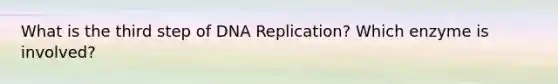 What is the third step of DNA Replication? Which enzyme is involved?