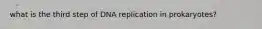 what is the third step of DNA replication in prokaryotes?