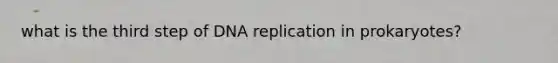 what is the third step of DNA replication in prokaryotes?