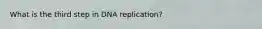 What is the third step in DNA replication?