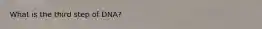 What is the third step of DNA?