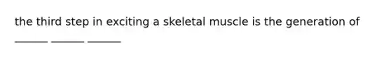 the third step in exciting a skeletal muscle is the generation of ______ ______ ______