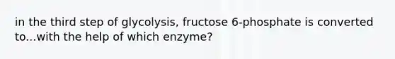 in the third step of glycolysis, fructose 6-phosphate is converted to...with the help of which enzyme?