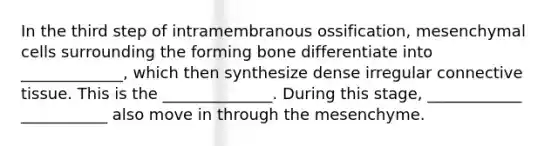 In the third step of intramembranous ossification, mesenchymal cells surrounding the forming bone differentiate into _____________, which then synthesize dense irregular connective tissue. This is the ______________. During this stage, ____________ ___________ also move in through the mesenchyme.