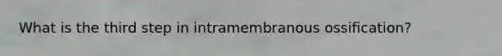 What is the third step in intramembranous ossification?