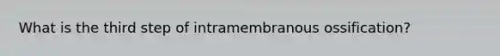 What is the third step of intramembranous ossification?